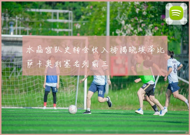 水晶宫队史转会收入榜揭晓埃泽比萨卡奥利塞名列前三