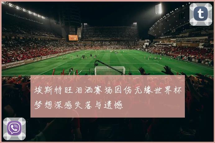埃斯特旺泪洒赛场因伤无缘世界杯梦想深感失落与遗憾